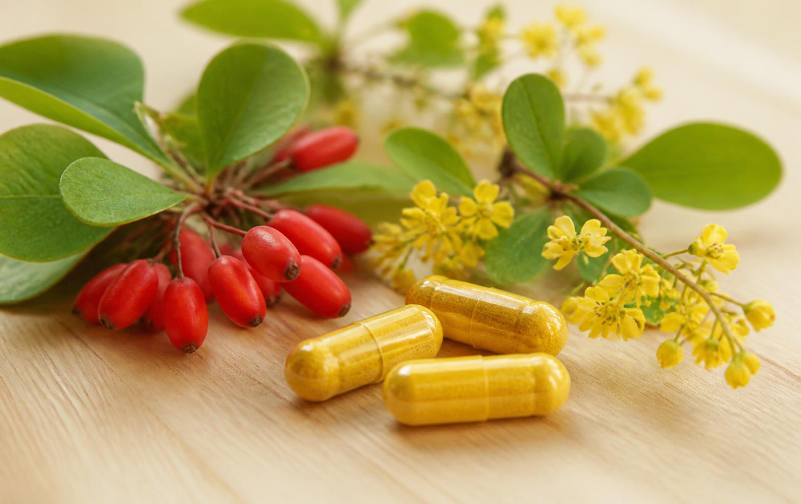 Yellow berberine capsules with red barberry berries, yellow flowers and green leaves
